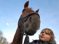 Успеваемость детей повышается при "общении" с - Лошадьми...