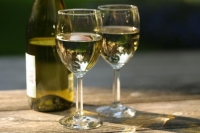 Черезмерное употребление белого вина опасно розацеей