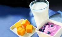 Сыр и йогурт, как профилактика потери слуха