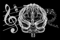 Музыка, способна изменить структуру белого вещества мозга