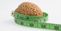 Эксперты нашли связь между лишнем весом и умственными способностями