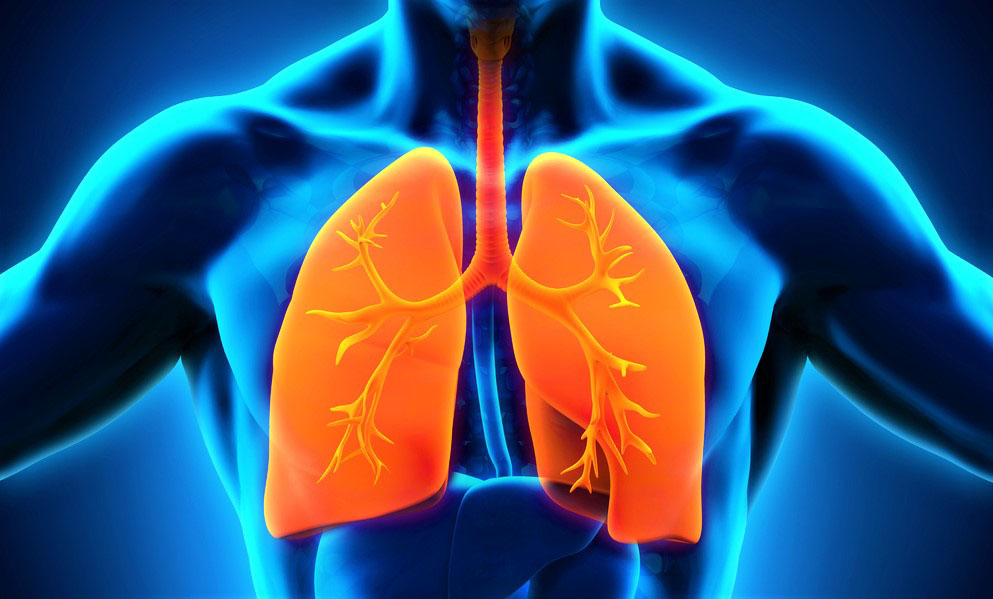 Ответы к тестам НМО: "Стимуляторы дыхания. Противокашлевые средства. Отхаркивающие средства"