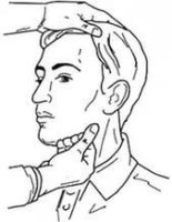 Осмотр и пальпация лимфатических узлов головы и шеи
