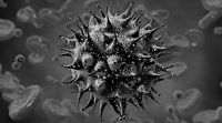 Вирус гриппа хотят превратить в оружие против рака