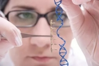 В ДНК человека вписана программа старения мозга