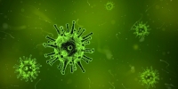 Опасный вирус перебрался из Китая в Россию - эпидемиологи бьют тревогу