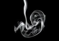 При беременности стоит избегать контакта с сигаретным дымом, настаивают медики