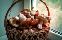 Диетологи говорят: в день не стоит съедать более 150 граммов грибов