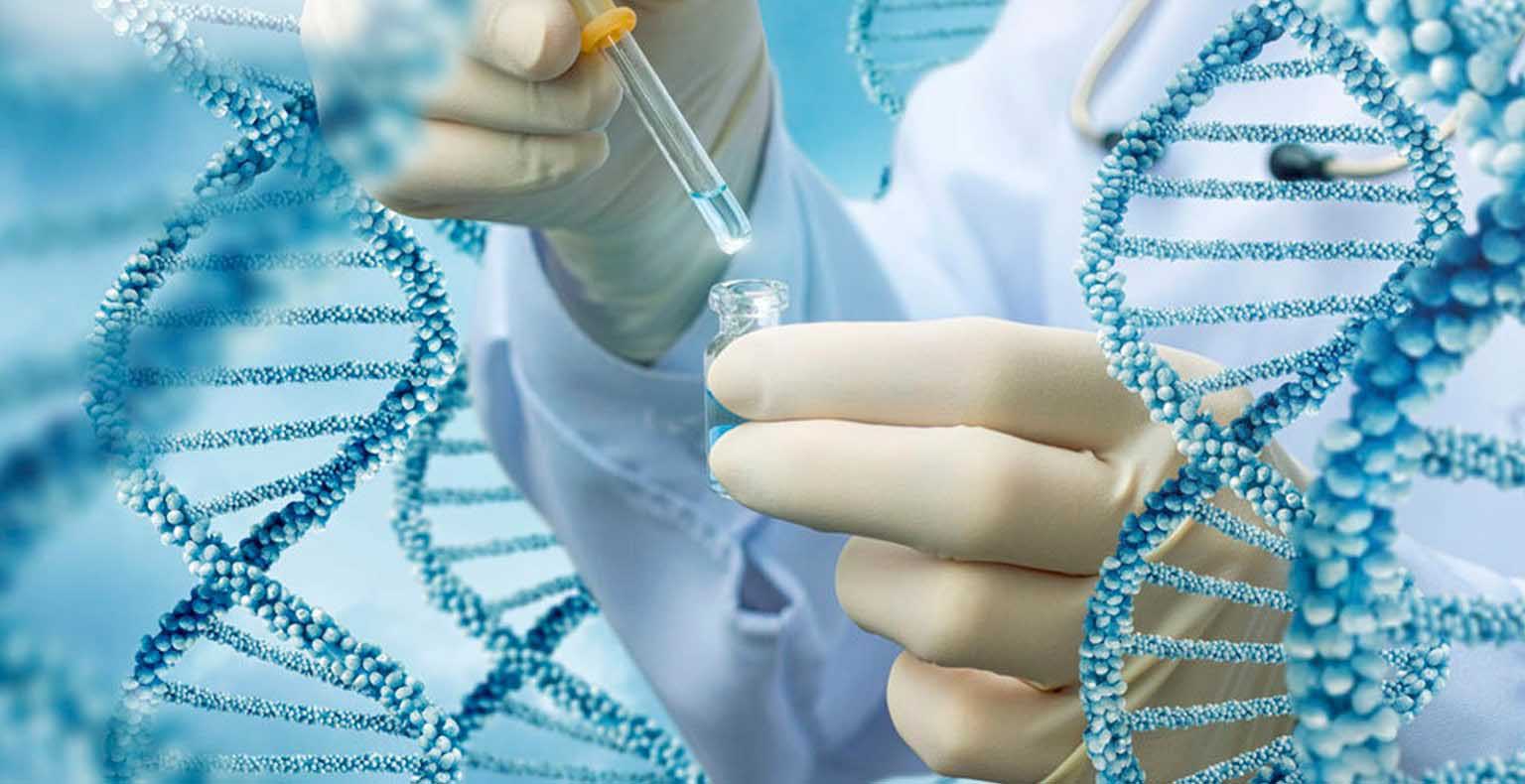 Ответы к тестам НМО: "Генетическая диагностика первичных иммунодефицитных состояний"