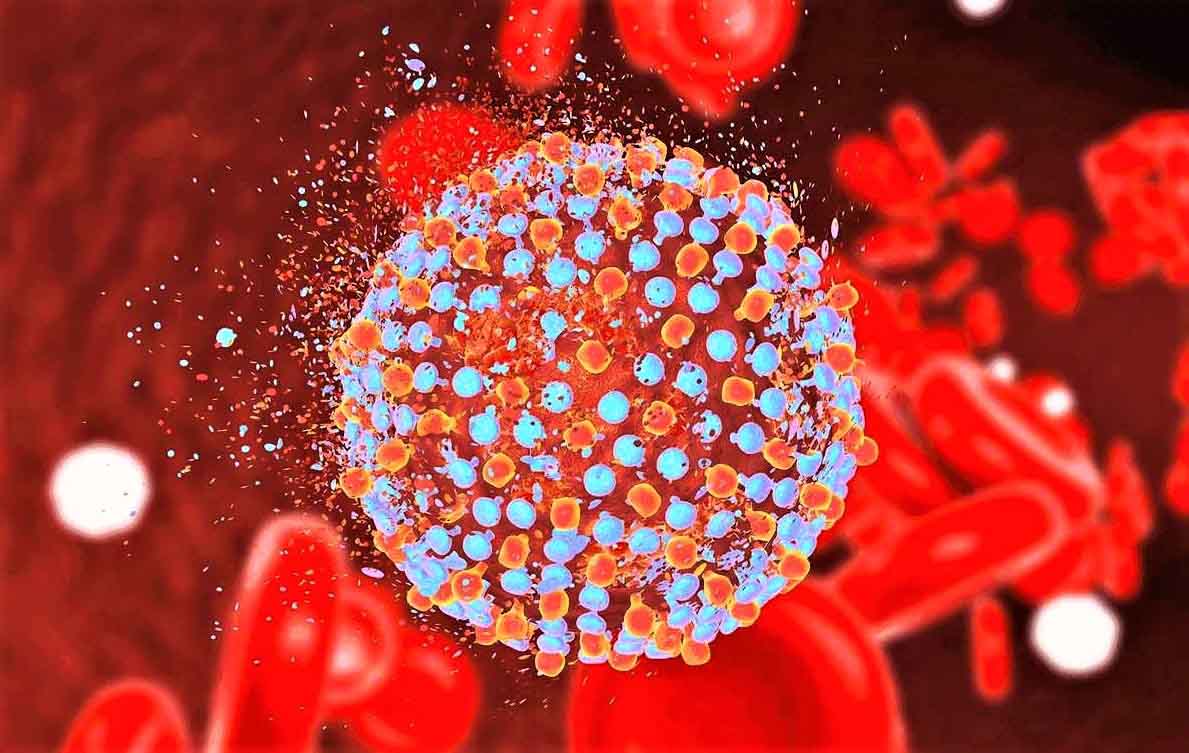 Все, что Вам нужно знать о вирусе гепатита С