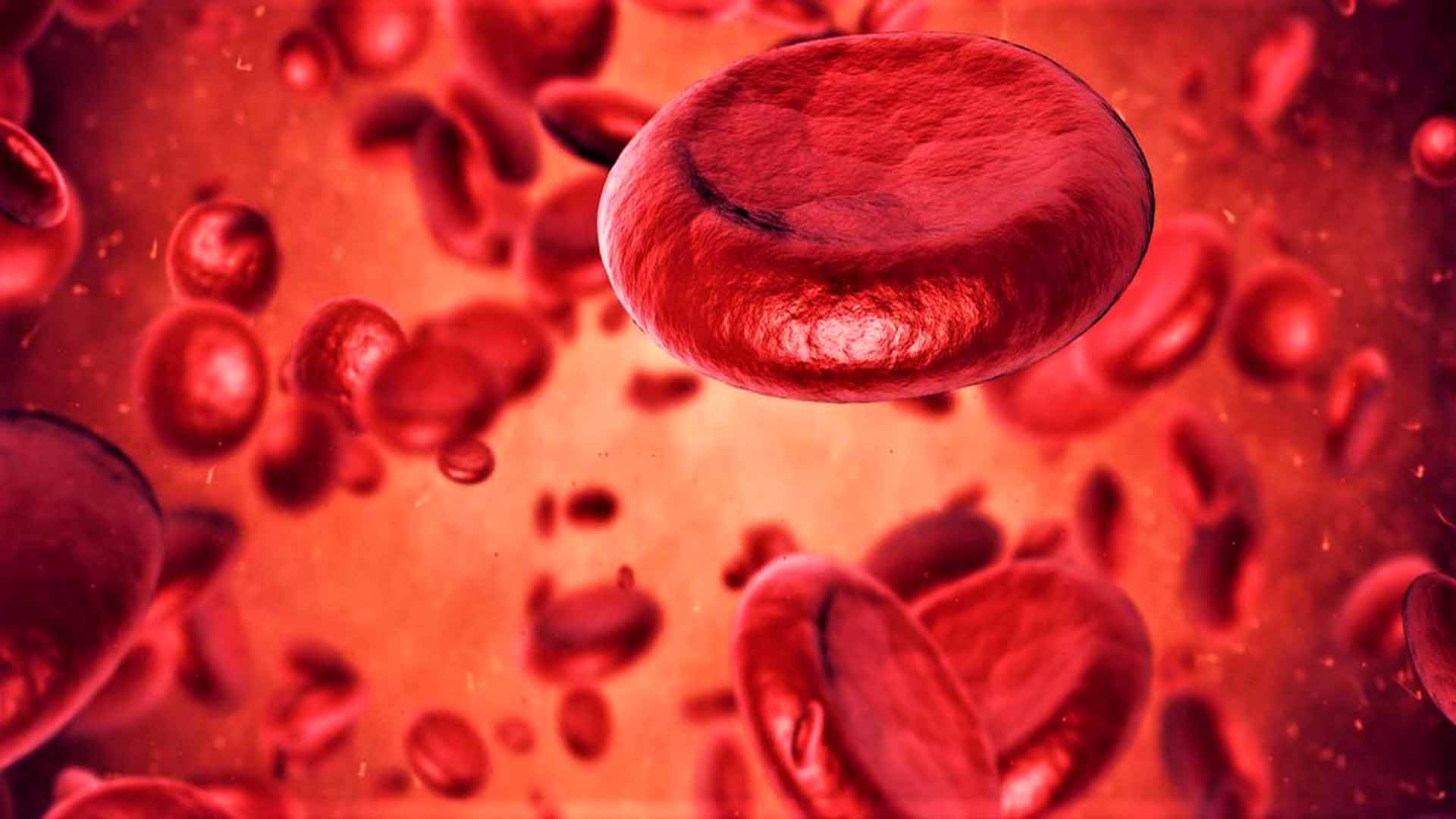 Ответы к тестам НМО: "Особенности применения лекарственных препаратов для лечения анемий"