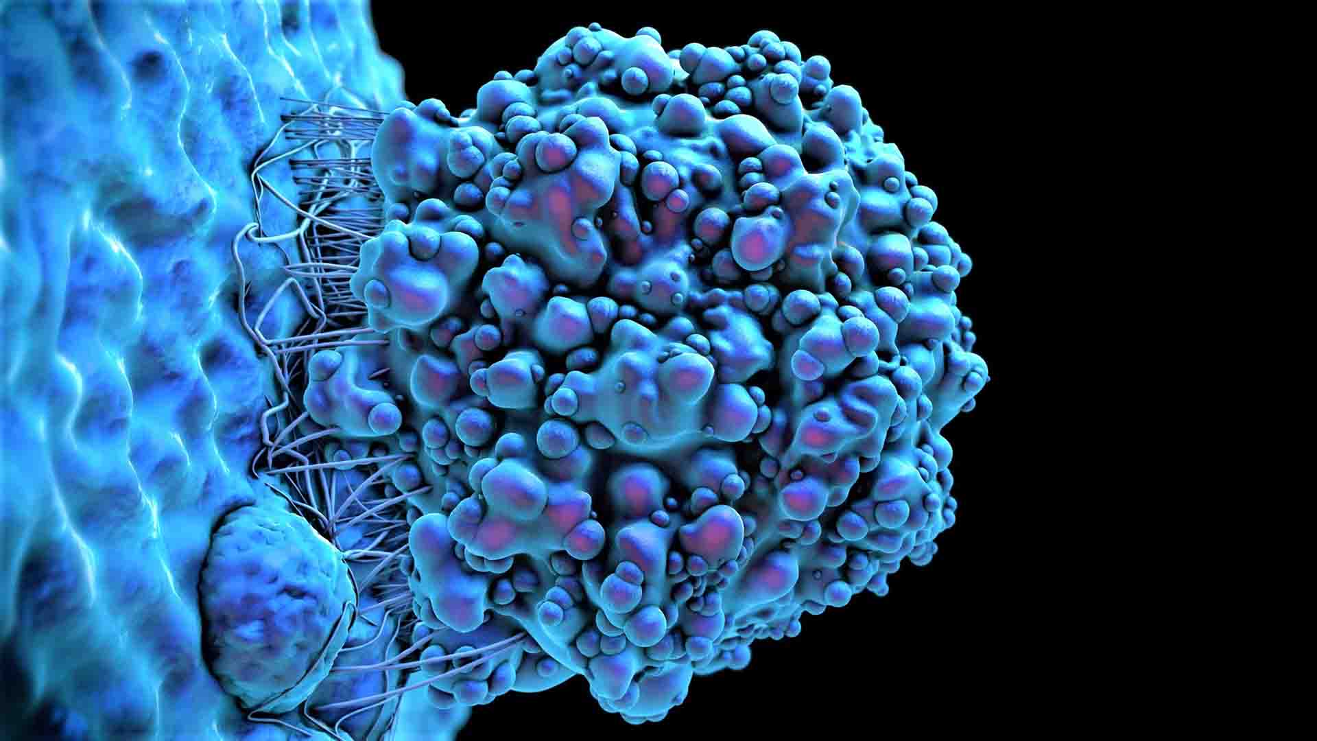 Как канцерогены влияют на человеческий организм?