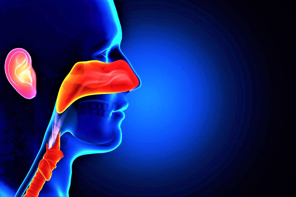 Ответы к тестам НМО: "Техника и методики физиотерапии при заболеваниях уха, горла и носа"