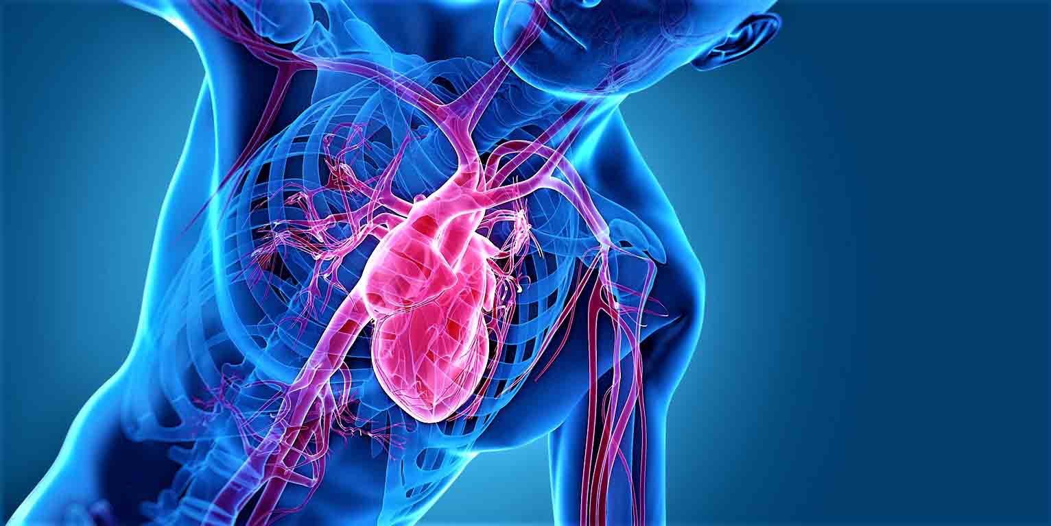 Ответы к тестам НМО: "Диагностика и оказание неотложной помощи при острой сердечной недостаточности в практике фельдшера скорой помощи"