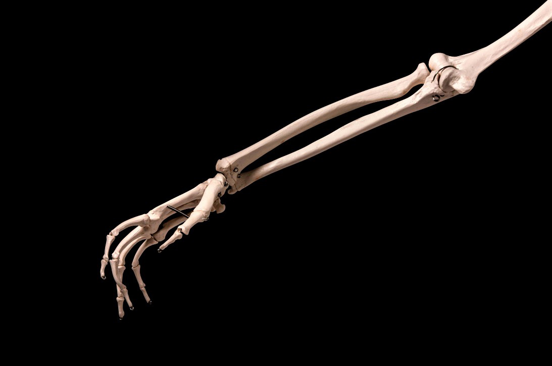 Ответы к тестам НМО: "Тактика ведения больных геронтологического профиля с повреждением дистального метаэпифиза костей предплечья"