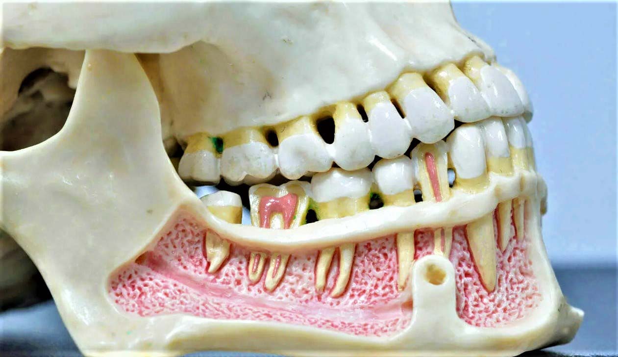Ответы к тестам НМО: "Перелом нижней челюсти. Клиника и диагностика (по утвержденным клиническим рекомендациям)"