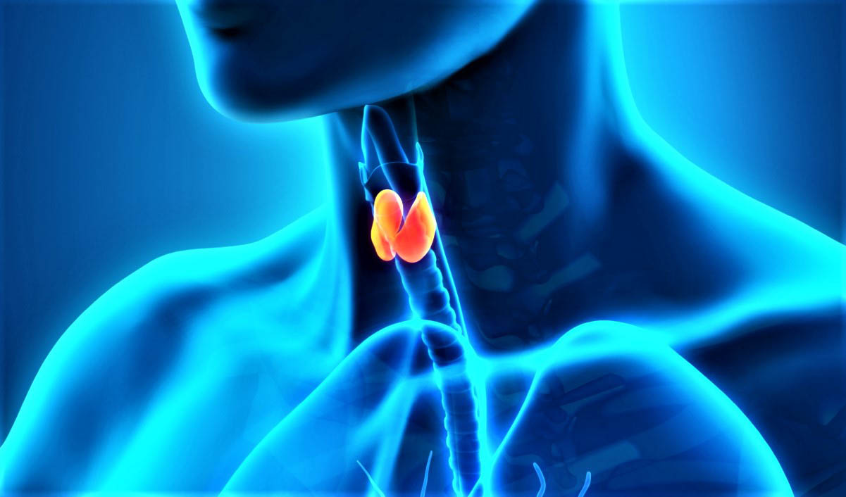 Ответы к тестам НМО: "Сцинтиграфия при узловых патологиях щитовидной железы"
