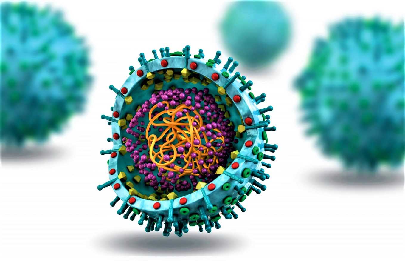 Ответы к тестам НМО: "Эволюционная изменчивость вирусов гриппа А и происхождение пандемий"
