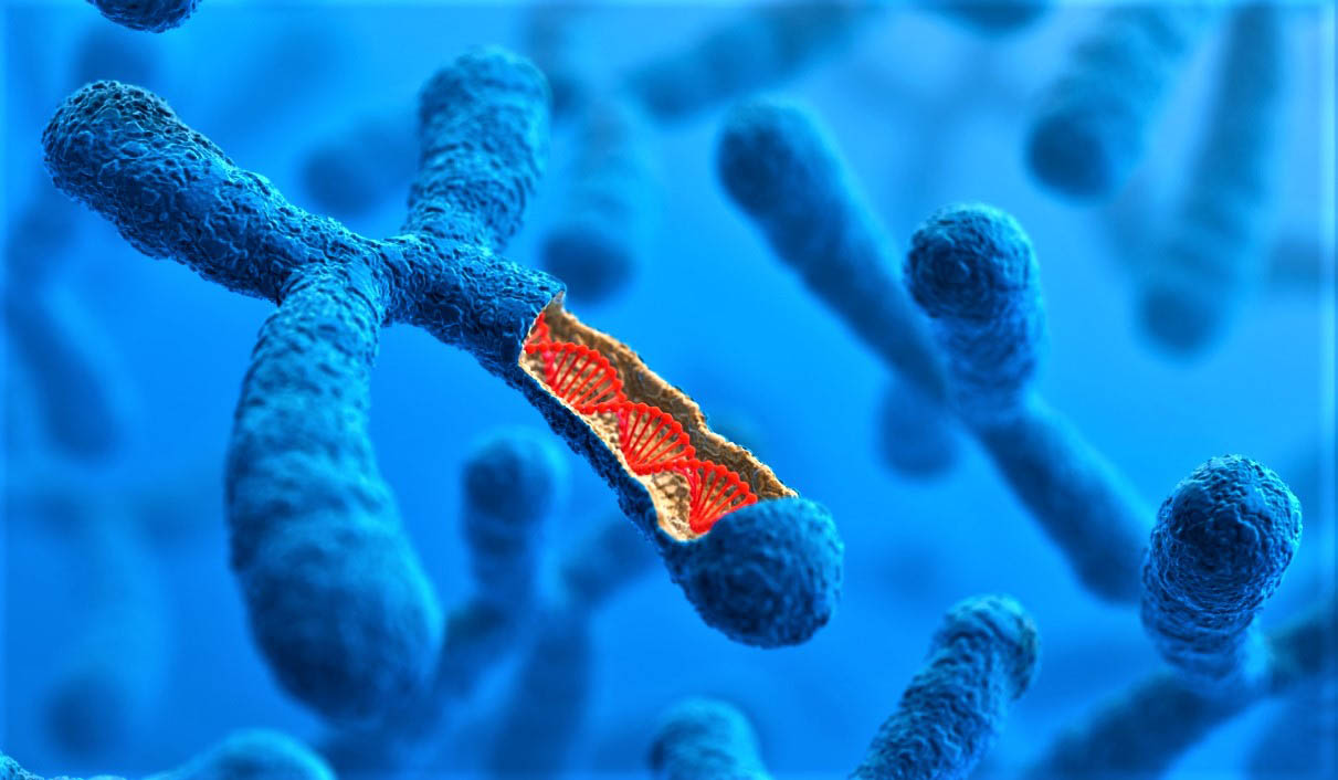 Ответы к тестам НМО: "Синдром делеции 22 хромосомы (синдром ДиДжорджи) у детей (по утвержденным клиническим рекомендациям)"
