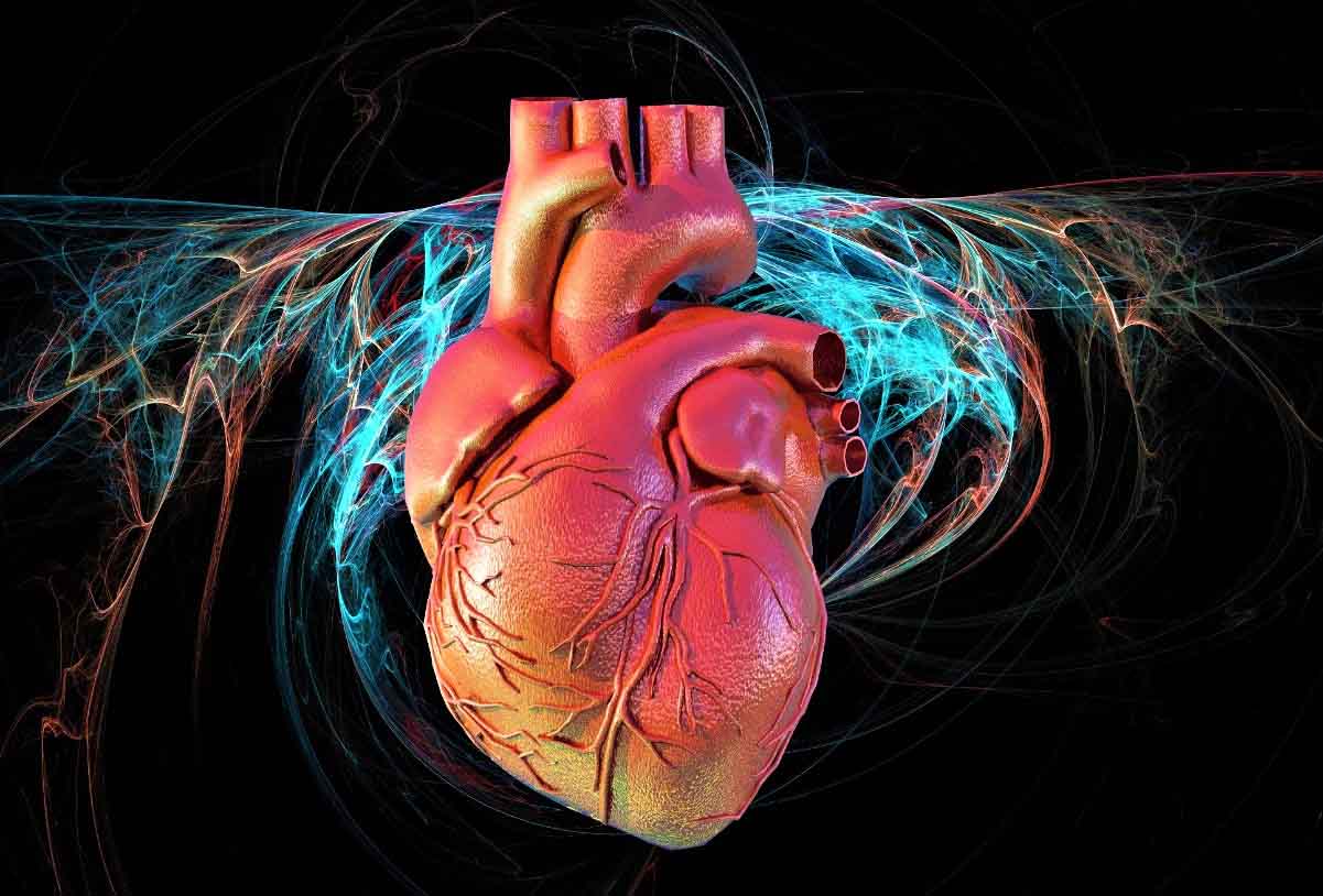 Ответы к тестам НМО: "Электрофизиологические интервенционные подходы в лечении сердечной недостаточности"