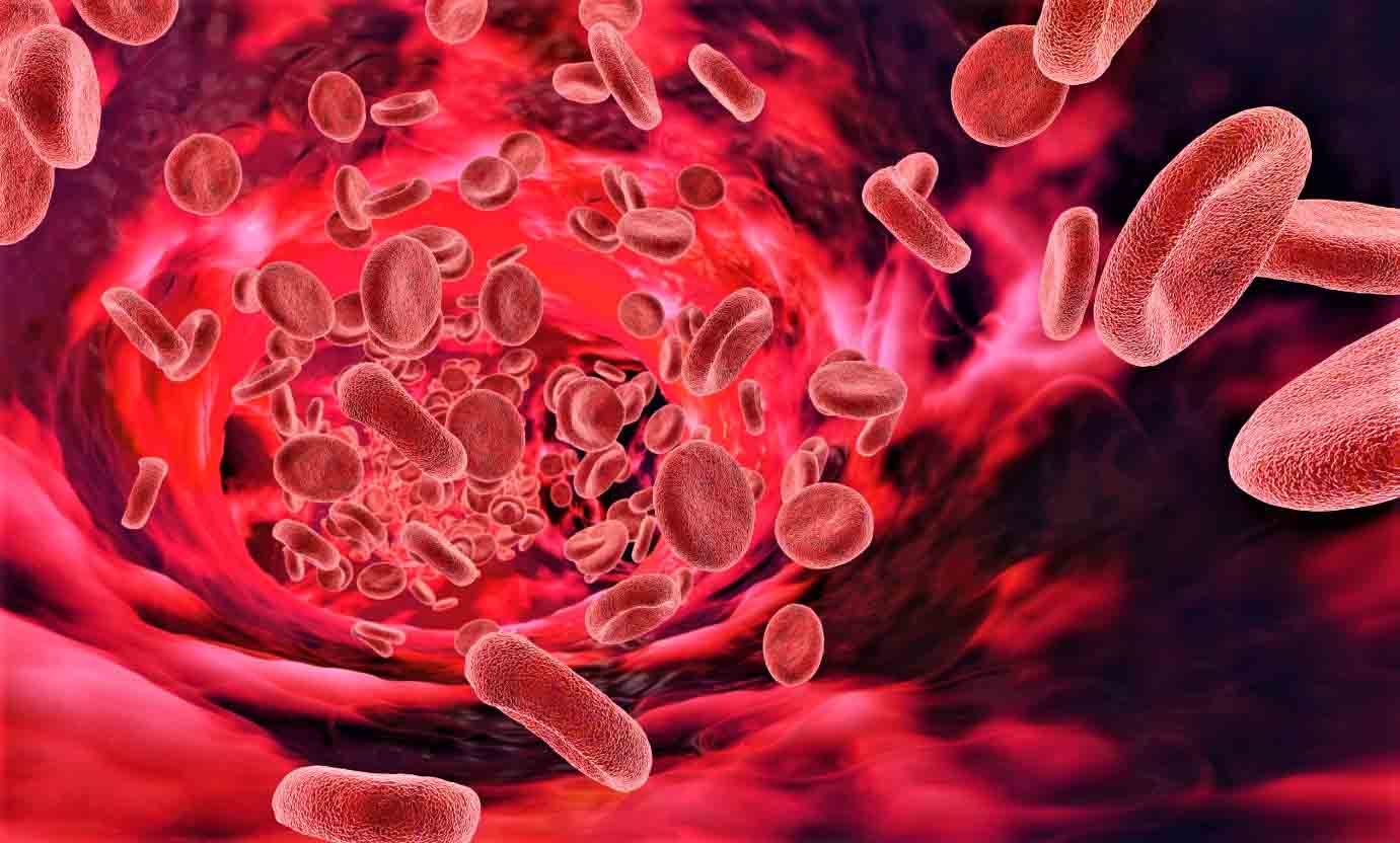 Ответы к тестам НМО: "Фолиеводефицитная анемия у детей (по утвержденным клиническим рекомендациям)"