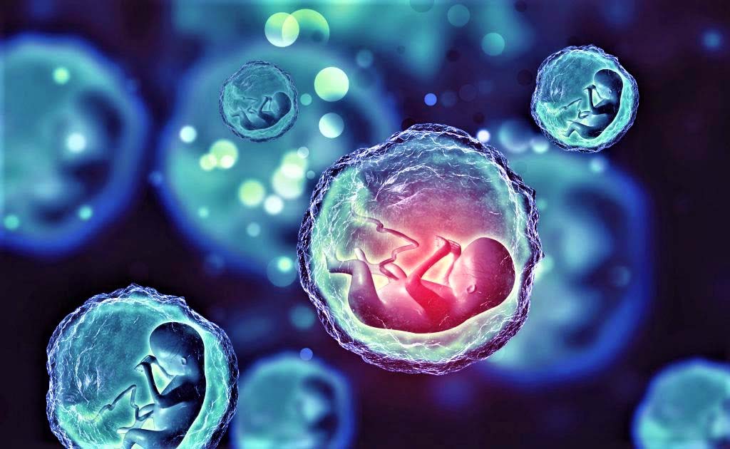 Ответы к тестам НМО: "Овариальный резерв: определение, диагностика и значение при стимуляции яичников"