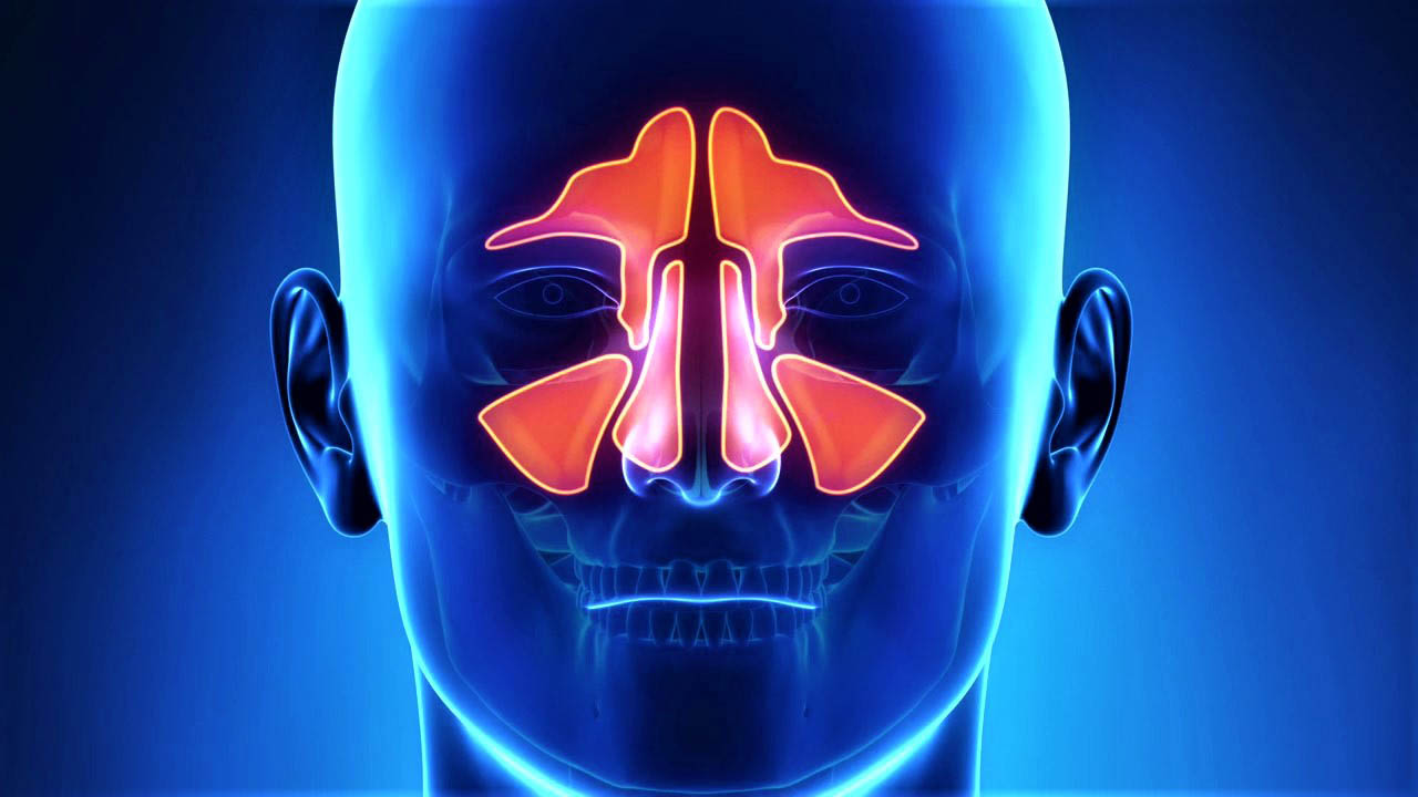 Ответы к тестам НМО: "Антибактериальная терапия воспалительных заболеваний носа и околоносовых пазух"