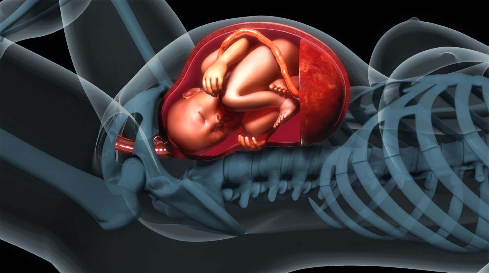 Ответы к тестам НМО: "Ведение беременности и родов при разрыве плодных оболочек: диагностика, лечение и профилактика"