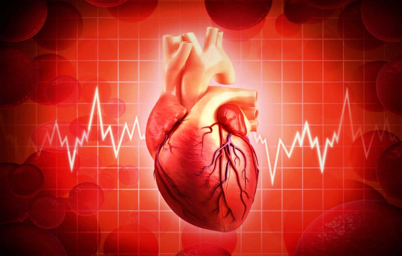 Ответы к тестам НМО: "Дифференциальная диагностика сердечных аритмий у детей. Алгоритмы и практическое значение"