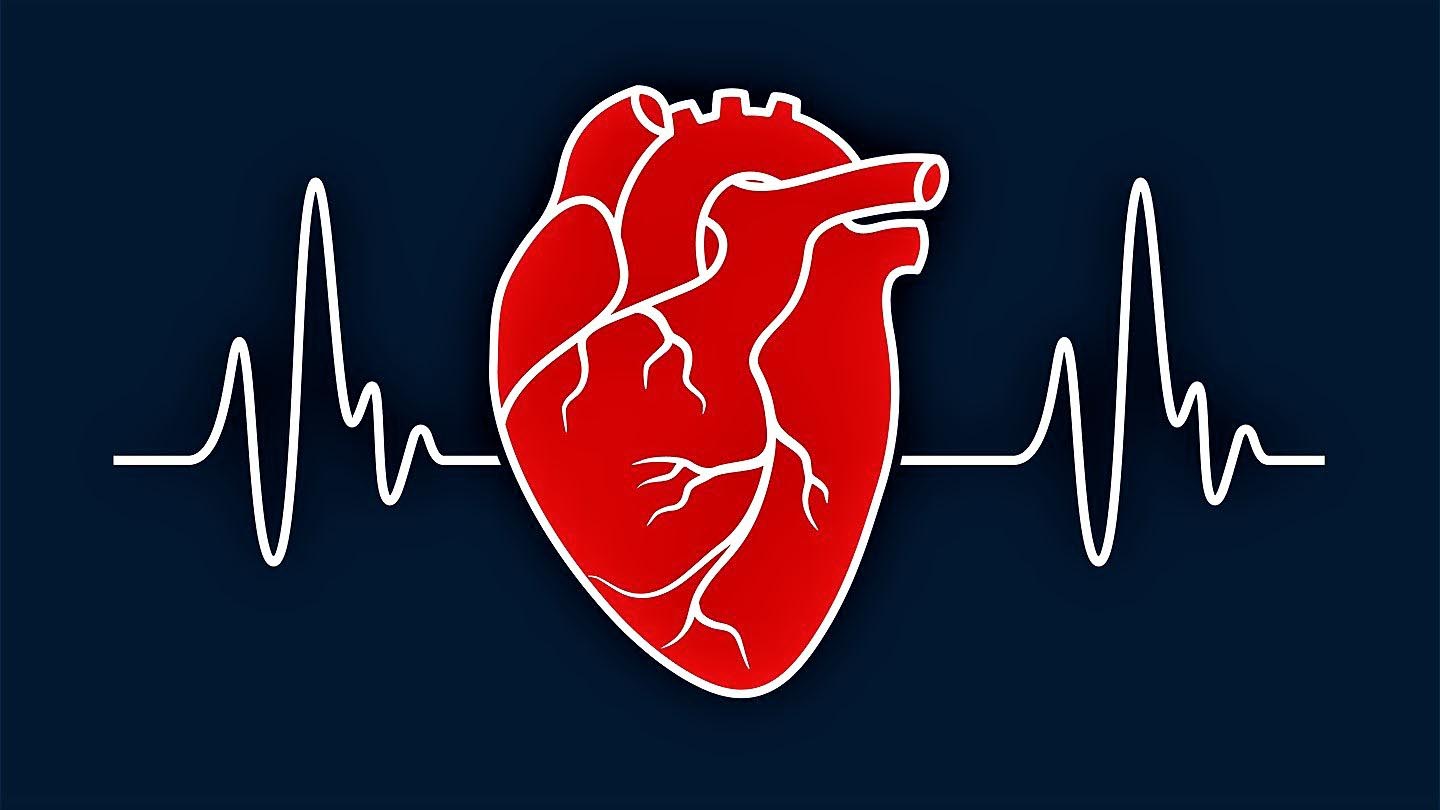 Ответы к тестам НМО: "Инструментальная диагностика сердечной недостаточности"