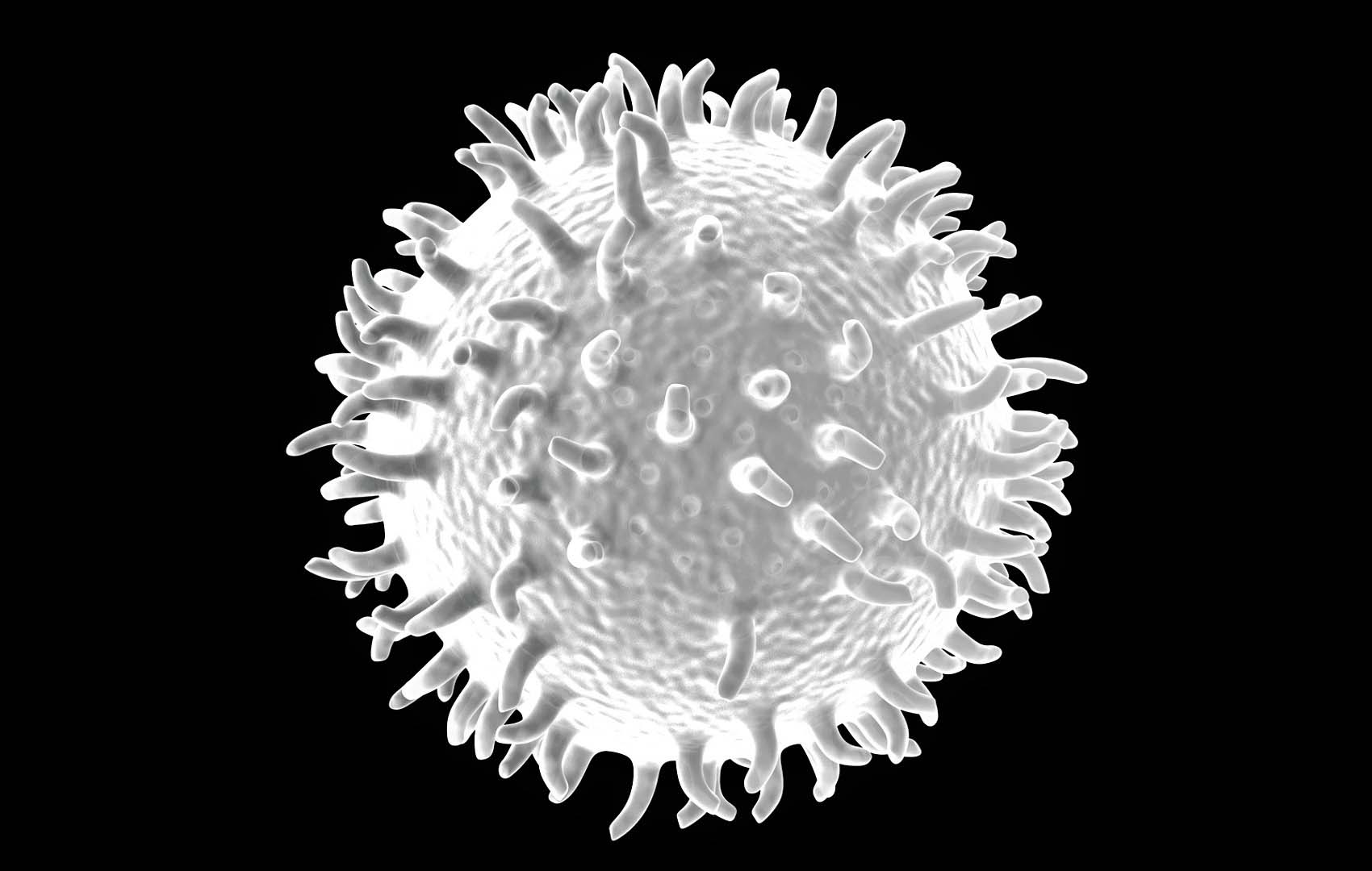 Ответы к тестам НМО: "В-лимфоциты: основные субпопуляции, маркеры и функции"