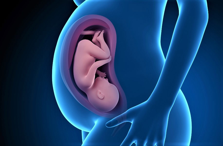 Особенности ведения беременности при сифилисе