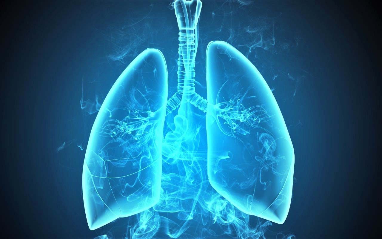 Ответы к тестам НМО: "Клинические рекомендации по диагностике и лечению туберкулеза органов дыхания с множественной и широкой лекарственной устойчивостью возбудителя (по утвержденным клиническим рекомендациям)"