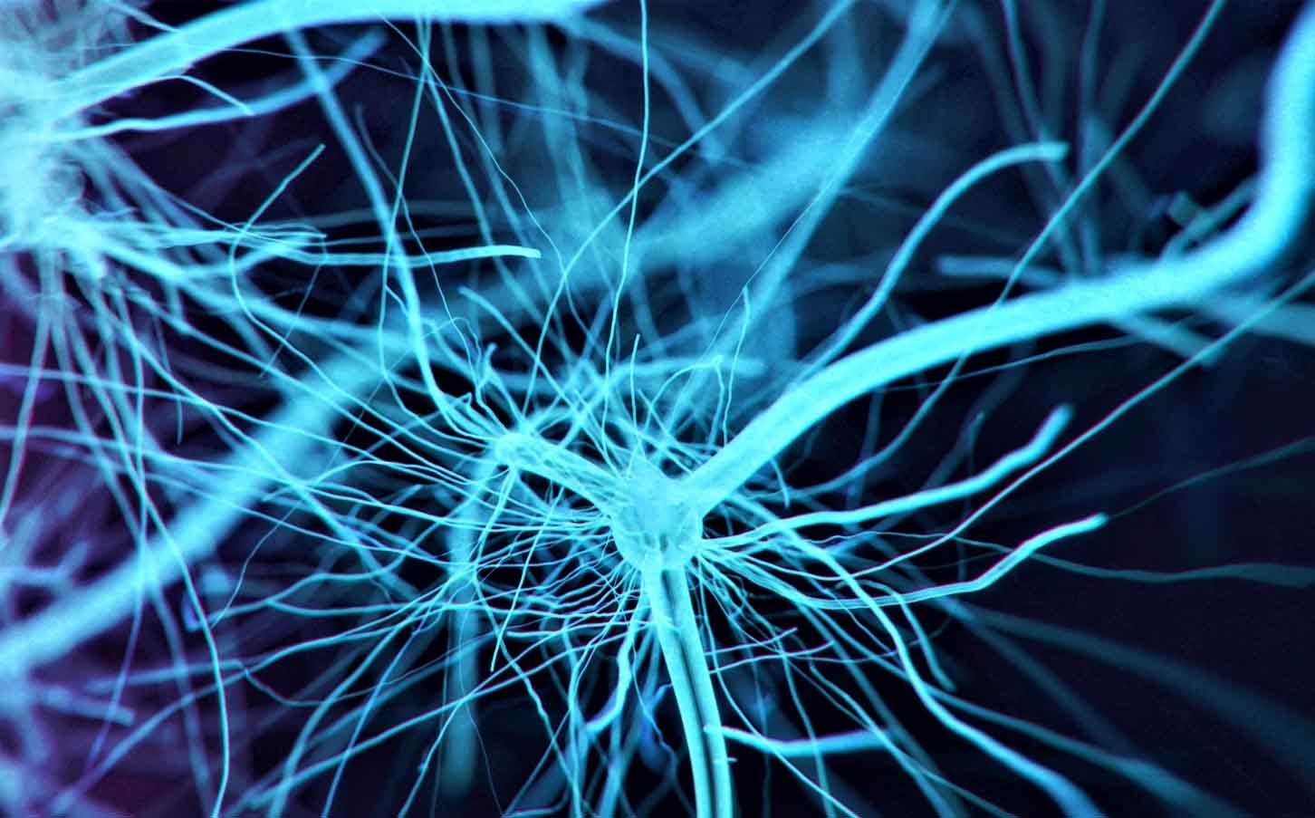 Заболевания периферической нервной системы: причины и какие бывают?