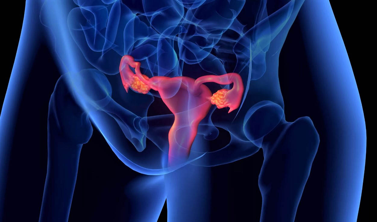 Ответы к тестам НМО: "Нарушения репродуктивной системы у девочек. Динамика физиологии полового созревания. Задержка полового развития"