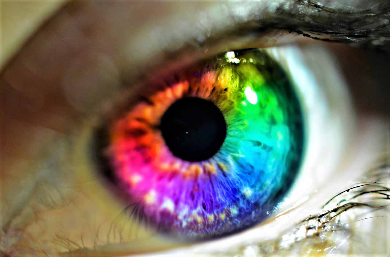 Ответы к тестам НМО: "Цветовое зрение и его нарушения"