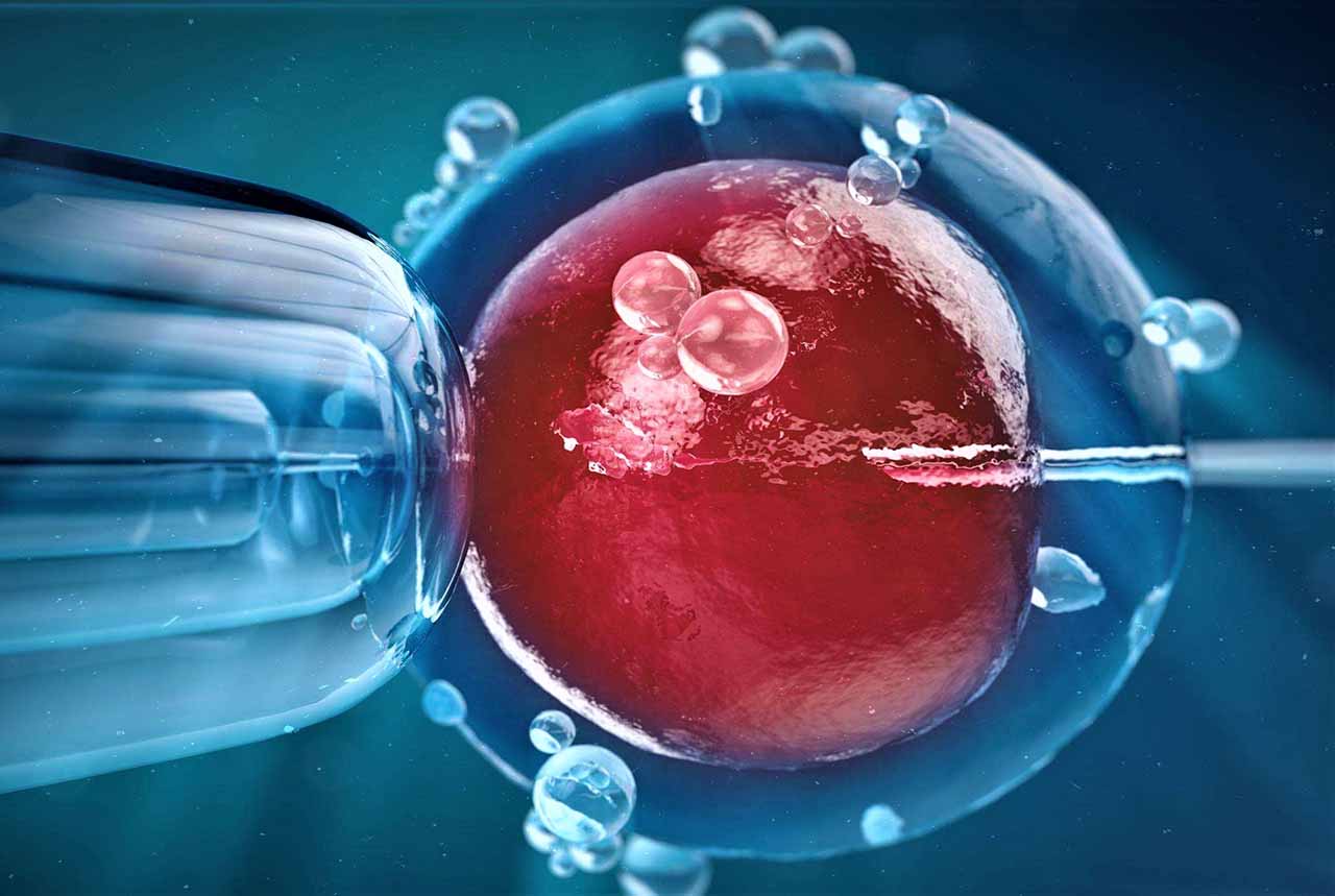 Ответы к тестам НМО: "ЭКО при тромбофилии"