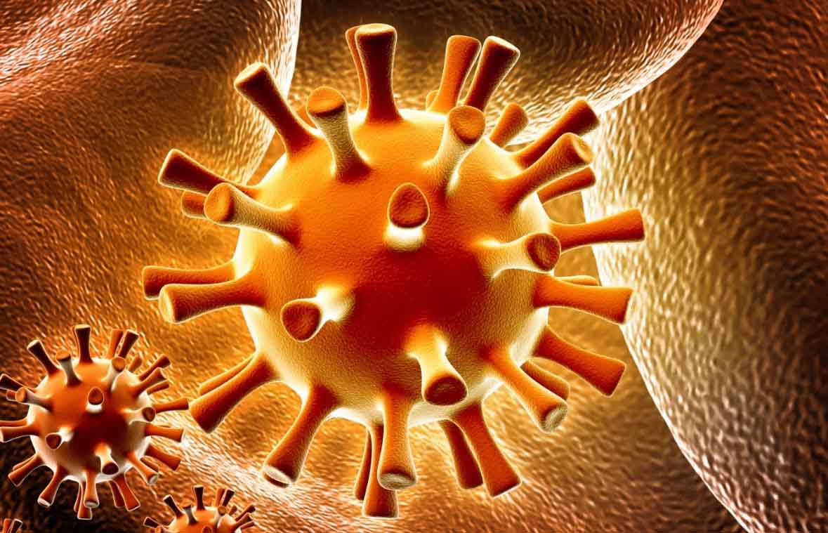 Ответы к тестам НМО: "Герпетическая инфекция: генитальный герпес"
