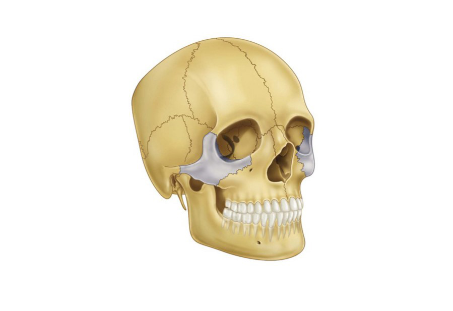 Ответы к тестам НМО: "Осложнения травматических повреждений костей средней зоны лица"