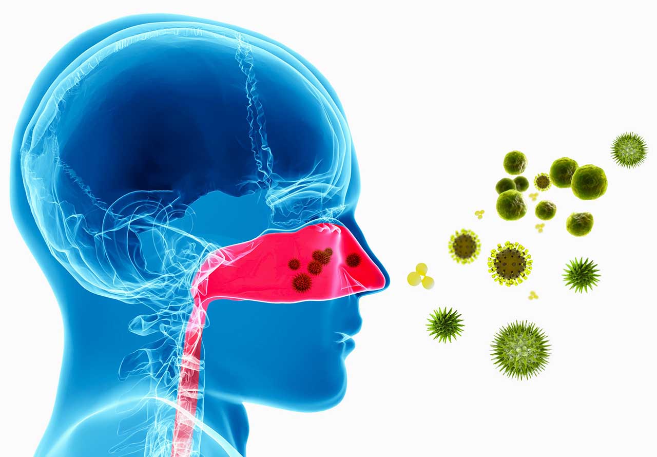Лечение аллергии народными средствами: Симптомы, Диагностика