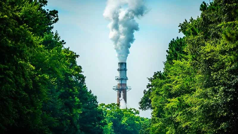 Ответы к тестам НМО: "Антропогенное загрязнение атмосферного воздуха и методы оценки риска его влияния на здоровье населения"