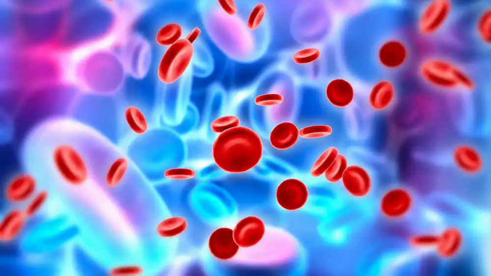 Ответы к тестам НМО: "Лекарственные средства, влияющие на кроветворение"